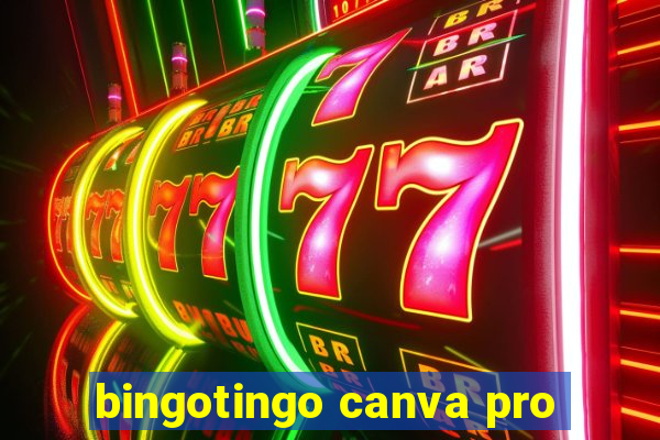 bingotingo canva pro